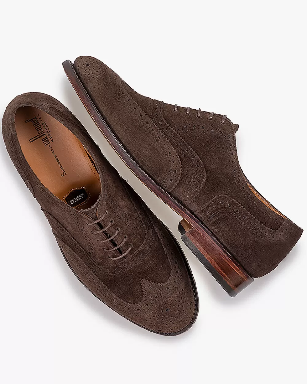 Floris van Bommel Olda 04.11<Heren Brogues | Veterschoenen